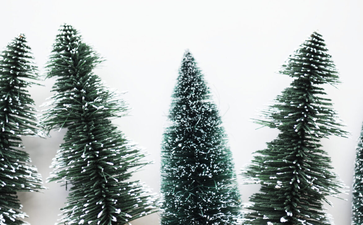 Christmas trees with design space background