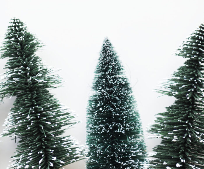 Christmas trees with design space background